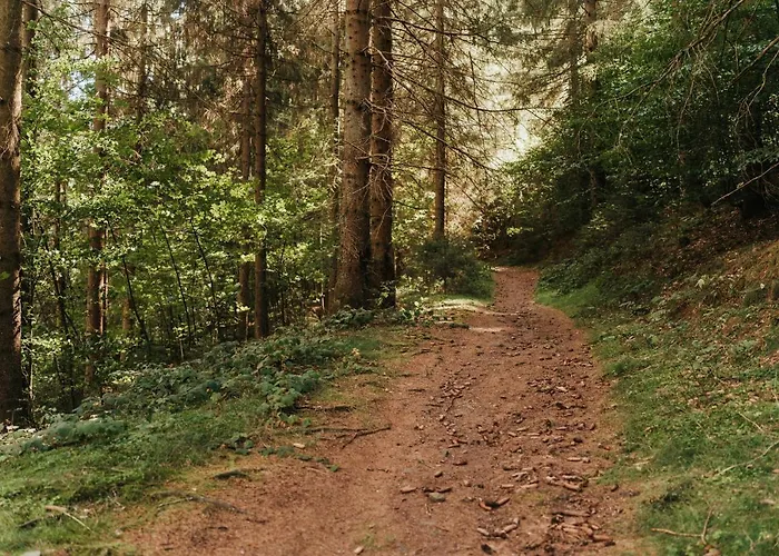 Hoheneck Сasa de vacaciones